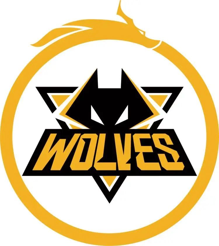 吾胃竞巅峰！2024英雄联盟解说主持杯主题曲——《解说家》